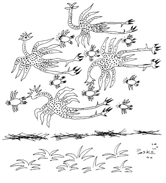 illustration de Pasco (Pierre Pascal Mérisier) 